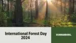 International Forest Day 2024: A Comprehensive Overview International Forest Day 2024