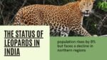 Leopards population rises