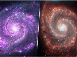 Whirlpool Galaxy