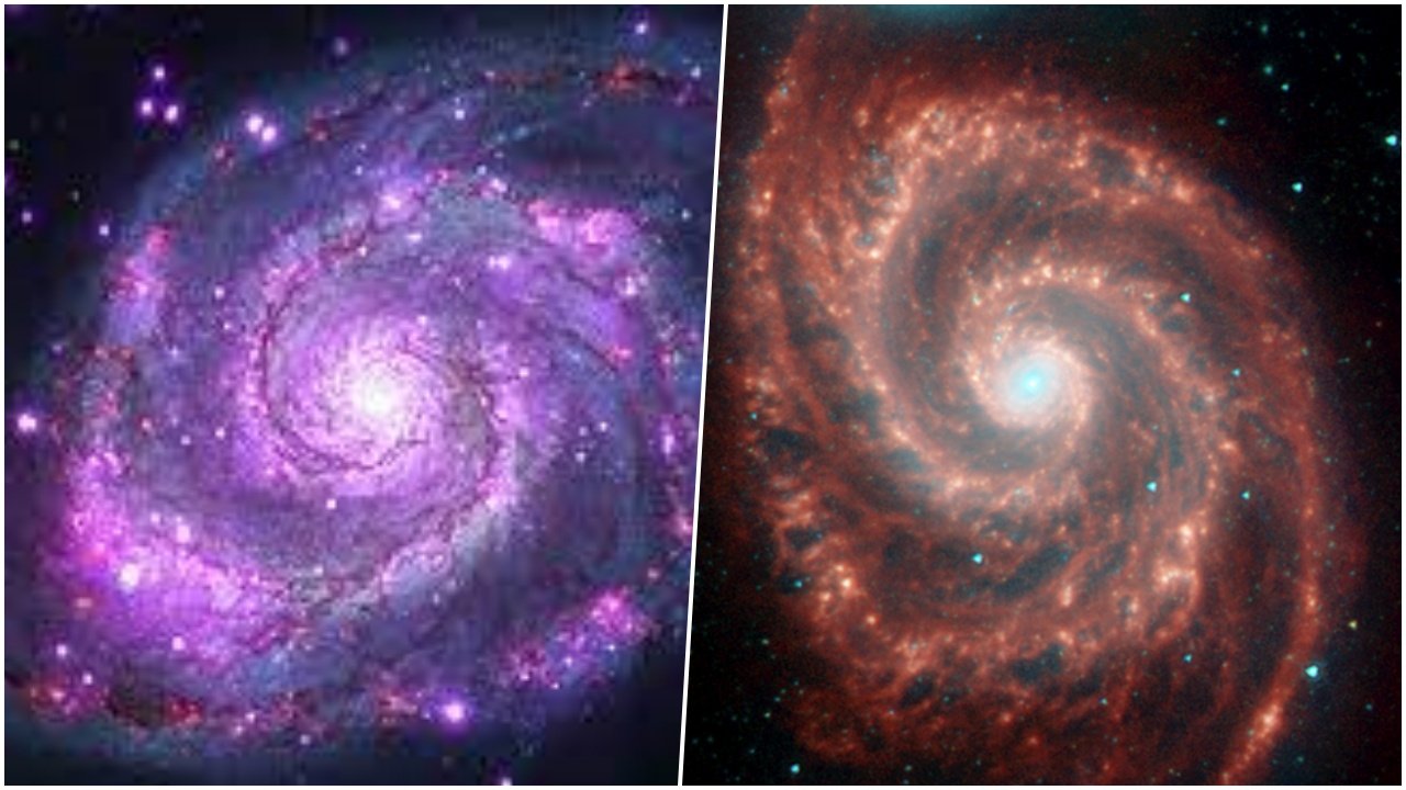 NASA’s Spectacular Multi-Wavelength View of the Whirlpool Galaxy