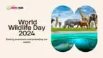 World Wildlife Day 2024