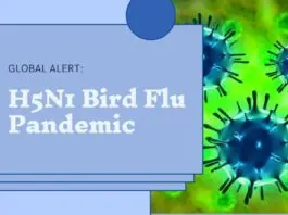 H5N1