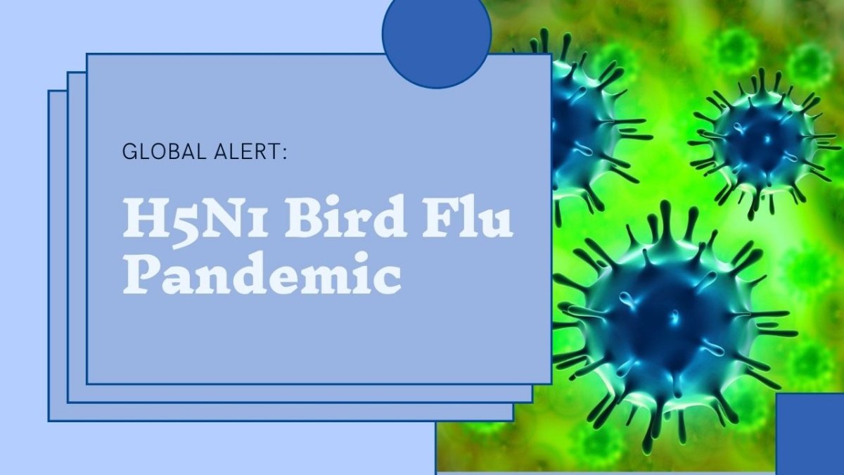 H5N1 Bird Flu Pandemic Could Eclipse Covid-19 in Severity