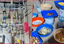 NCB and ATS Seize Drugs Worth Rs 300 Crore