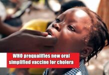 New oral vaccine for cholera