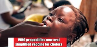 New oral vaccine for cholera