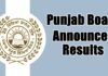 Punjab Board Announces Results 2024