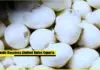 White onion