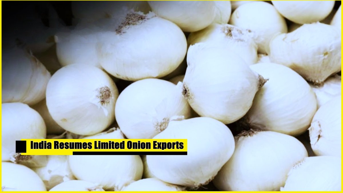 India Resumes Limited Onion Exports to Six Countries Amidst Ongoing Ban