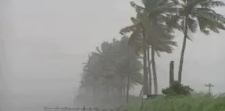 Mansoon In kerala