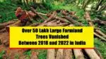Over 50 Lakh Large Farmland Trees Vanished Between 2018 and 2022 in India Tree cutting