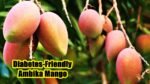 Diabetes-Friendly Ambika Mango