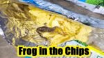 Frog in the Chips