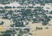 Brahmaputra Floods Ravage Assam