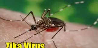 Zika Virus