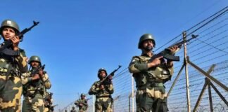 BSF Seals Border