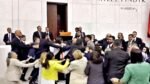 Brawl Erupts in Turkish Parliament