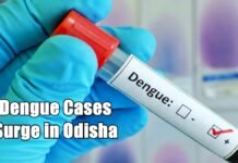 Dengue Cases