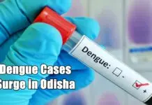 Dengue Cases Surge in Odisha: Khordha Emerges as Hotspot Dengue Cases