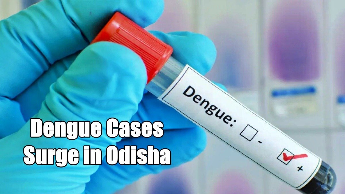 Dengue Cases Surge in Odisha: Khordha Emerges as Hotspot