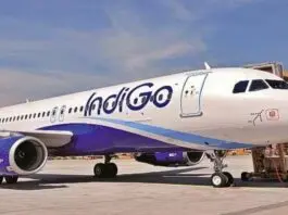 Indigo