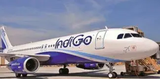 Indigo