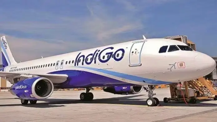 Indigo