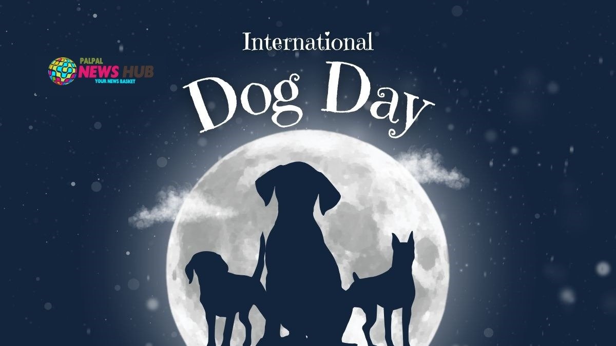International Dog Day: Celebrating Our Loyal Companions
