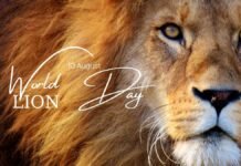 World Lion Day