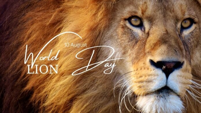 World Lion Day