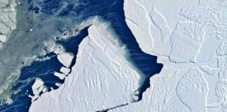 Antarctic Sea Ice Hits Record Low