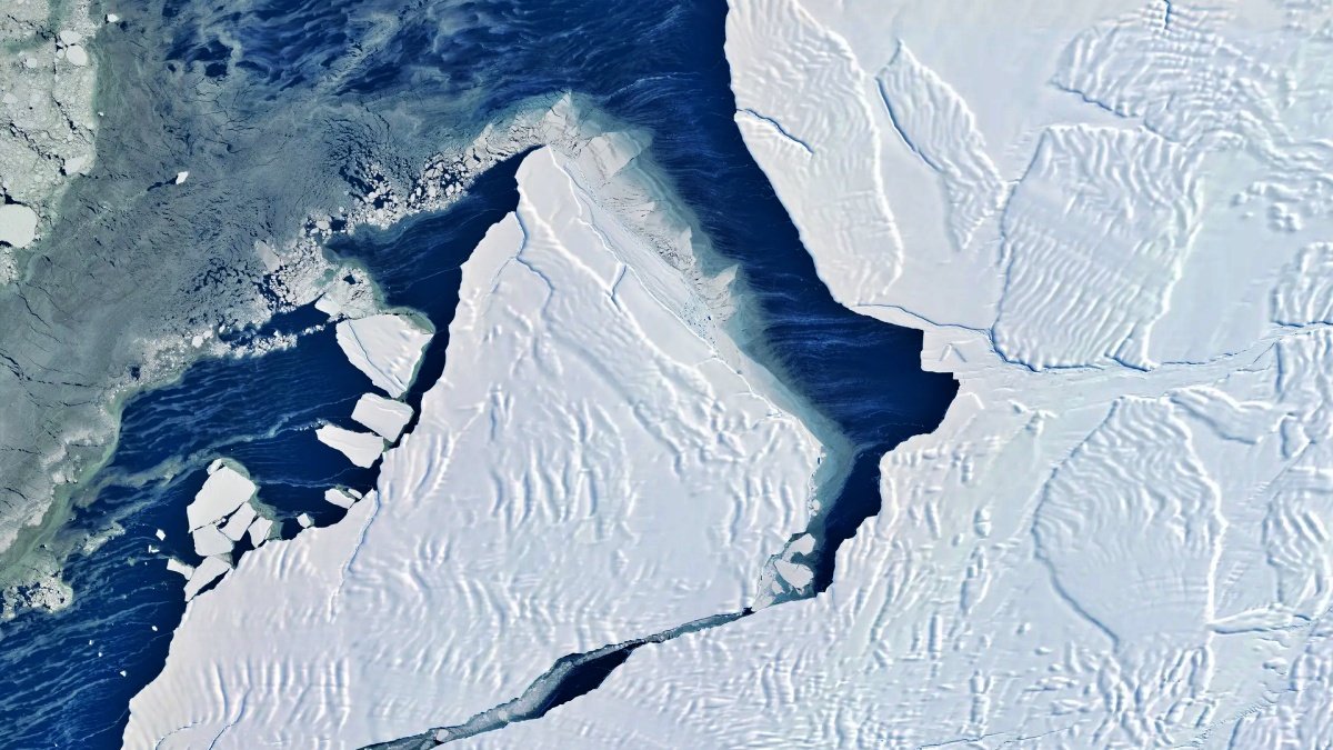 Antarctic Sea Ice Hits Record Low | PalPal News Hub | Latest National, Technology, and Astrology News Antarctic Sea Ice Hits Record Low