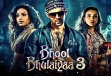 Bhool Bhulaiyaa 3