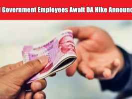 Central Government Employees Await DA Hike Announcement: What to Expect DA Hike Announcement