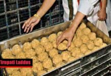 Tirupati Laddus