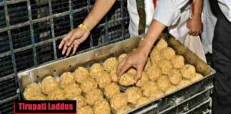 Tirupati Laddus