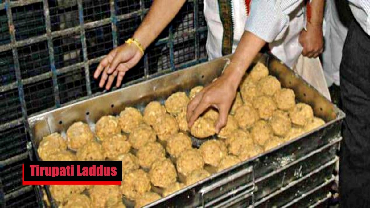 TTD Conducts Maha Shantihom Amidst Tirupati Laddu Controversy