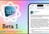 Apple’s iOS 18.2 Beta