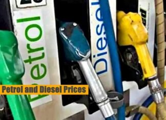 Petrol and Diesel Prices