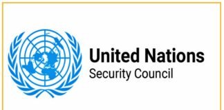 UN Security Council