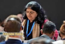 India at COP29