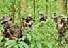 Security Forces Maoists in Chhattisgarh