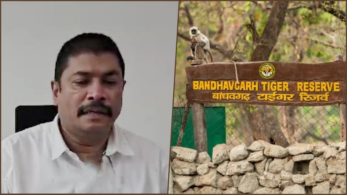 Madhya Pradesh Appoints New PCCF (Wildlife) Amid Elephant Death Controversy in Bandhavgarh Tiger Reserve