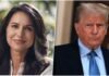 Tulsi Gabbard-trump