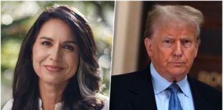 Tulsi Gabbard-trump