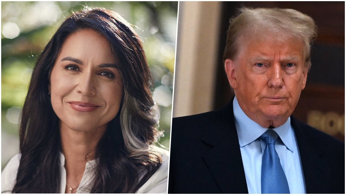 Tulsi Gabbard Named Director of National Intelligence by Trump