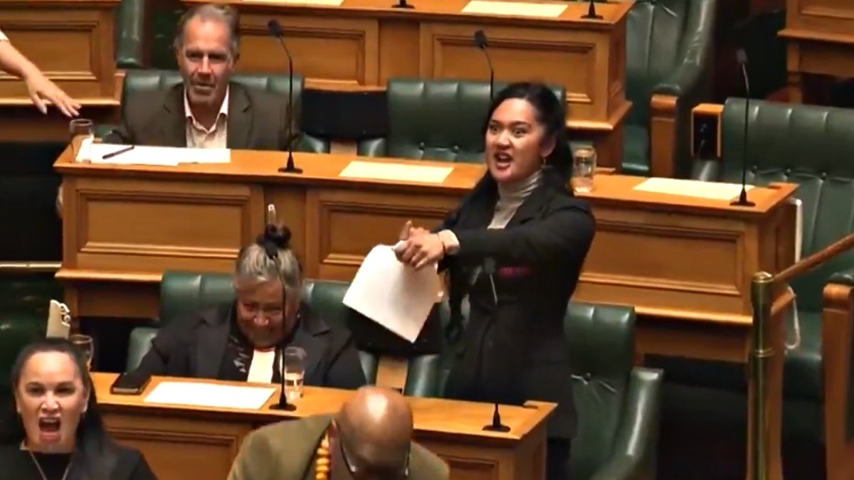 Youngest NZ MP Stages Bold Haka Protest, Tears Bill in Fiery Parliament Session