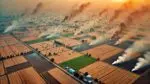 Punjab’s Stubble Burning Crisis: Over 4,000 Incidents Recorded Amid Rising Pollution Concerns stubble burning
