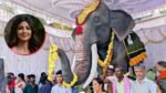 Shilpa Shetty donates mechanical elephant