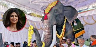 Shilpa Shetty donates mechanical elephant